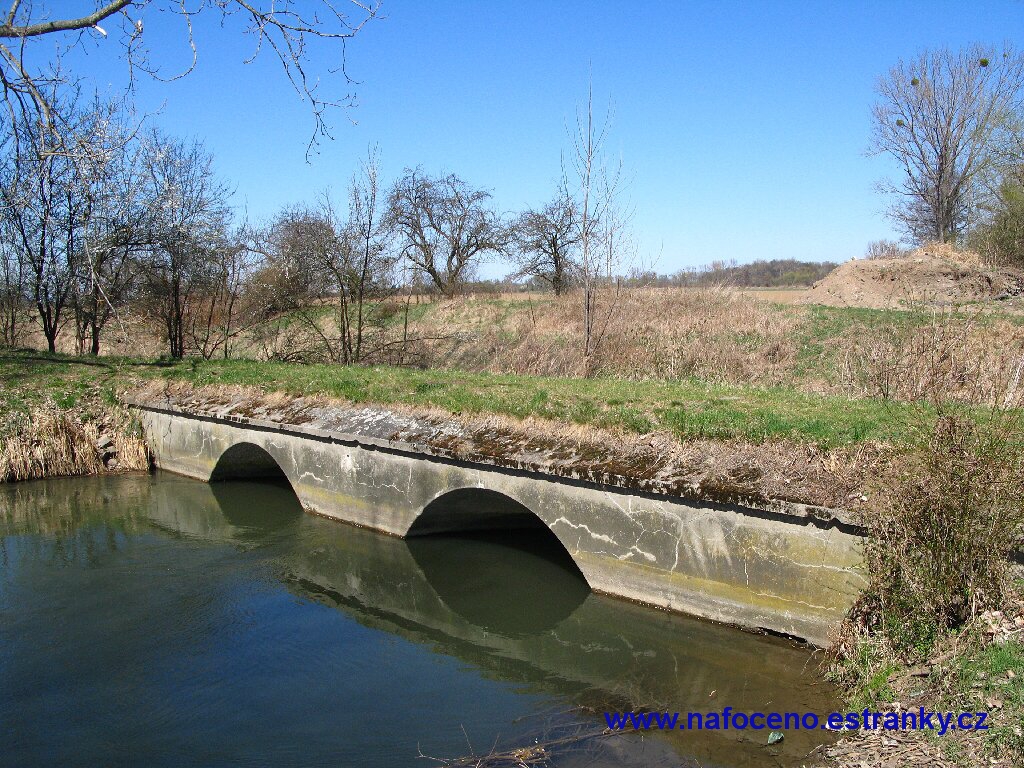 Lobodice_008_IMG_5997